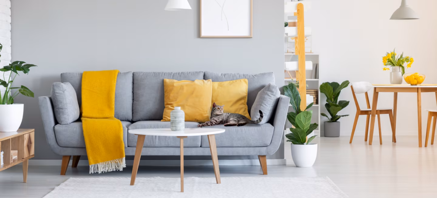 Видеонаблюдение квартиры